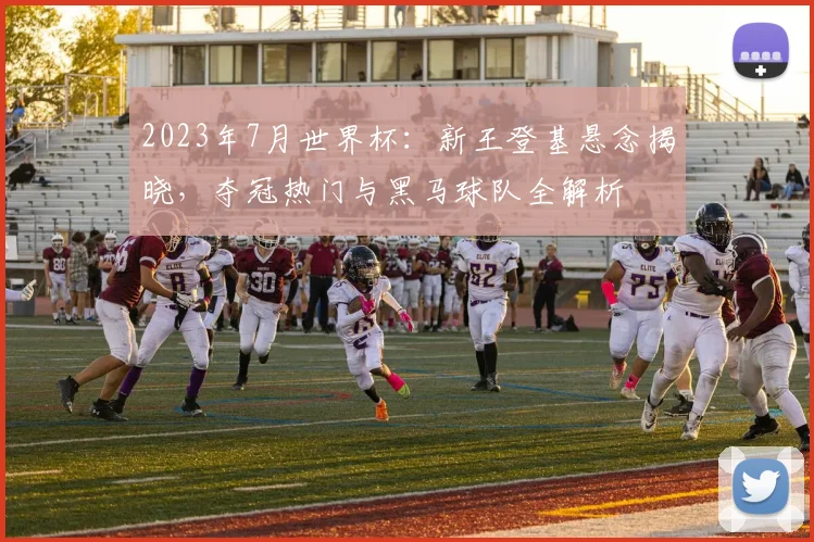 2023年7月世界杯：新王登基悬念揭晓，夺冠热门与黑马球队全解析